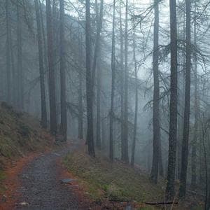 Produk Minuman Premium 1