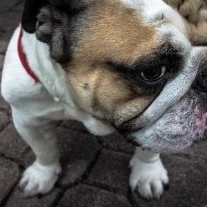 Produk Kecantikan Terlaris 4