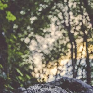 Produk Makanan Terlaris 4