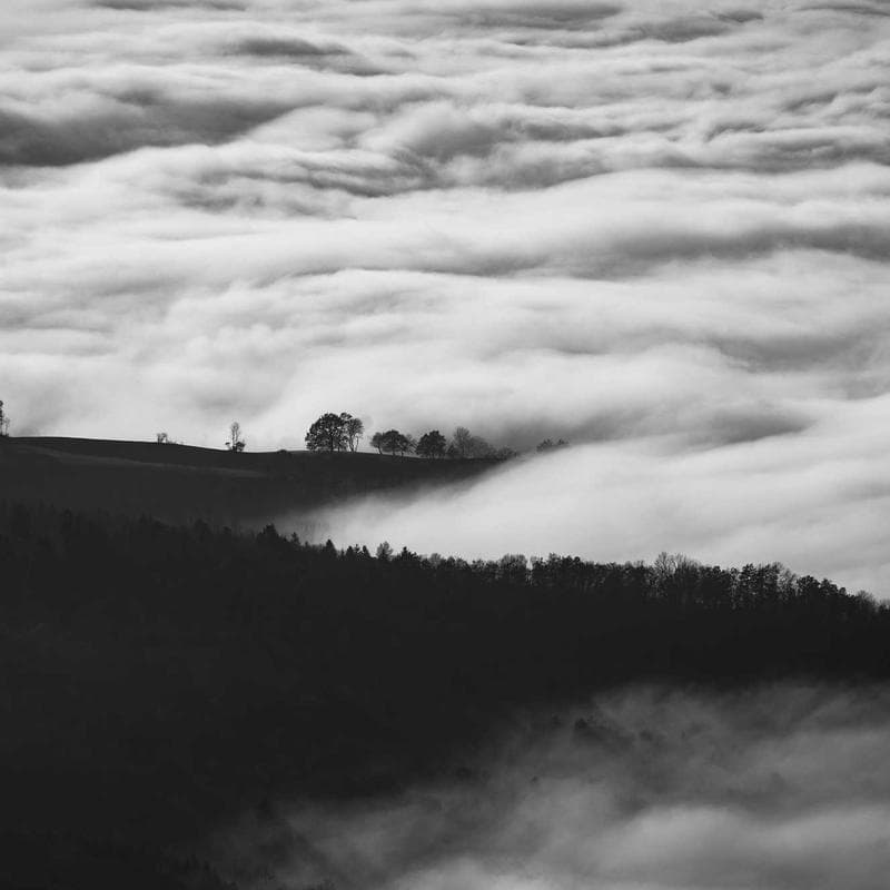 Produk UMKM Lokal Berkualitas #202