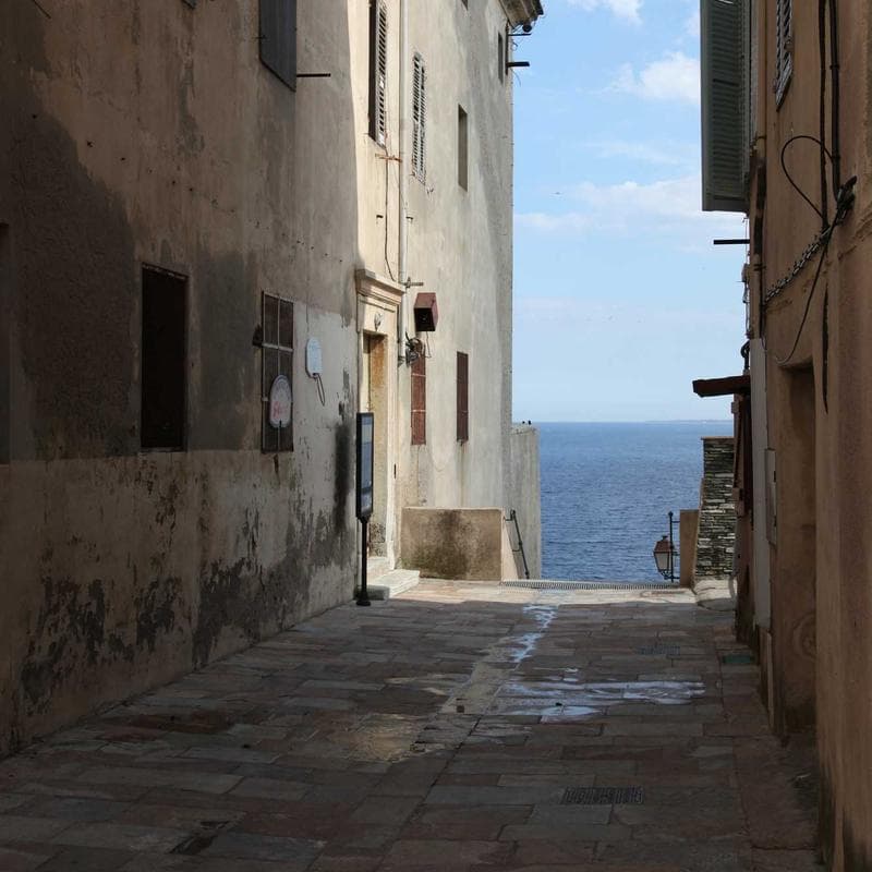 Produk UMKM Lokal Berkualitas #302