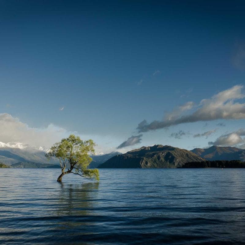 Produk UMKM Lokal Berkualitas #303