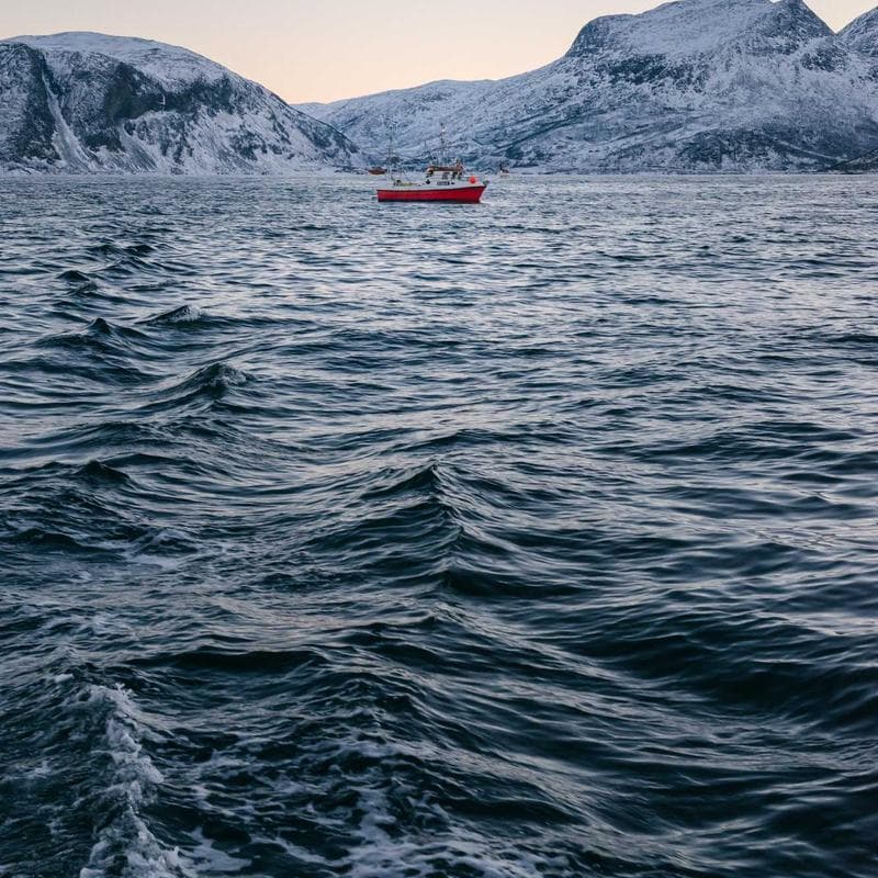 Produk UMKM Lokal Berkualitas #305