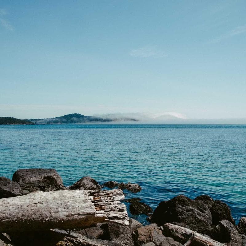 Produk UMKM Lokal Berkualitas #306