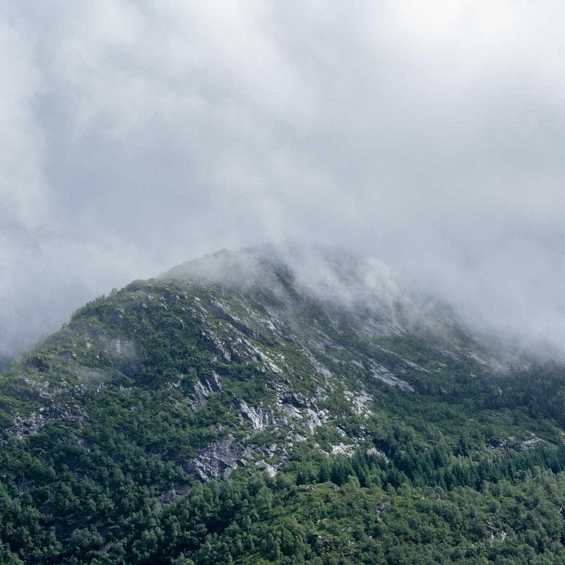 Produk UMKM Lokal Berkualitas #307