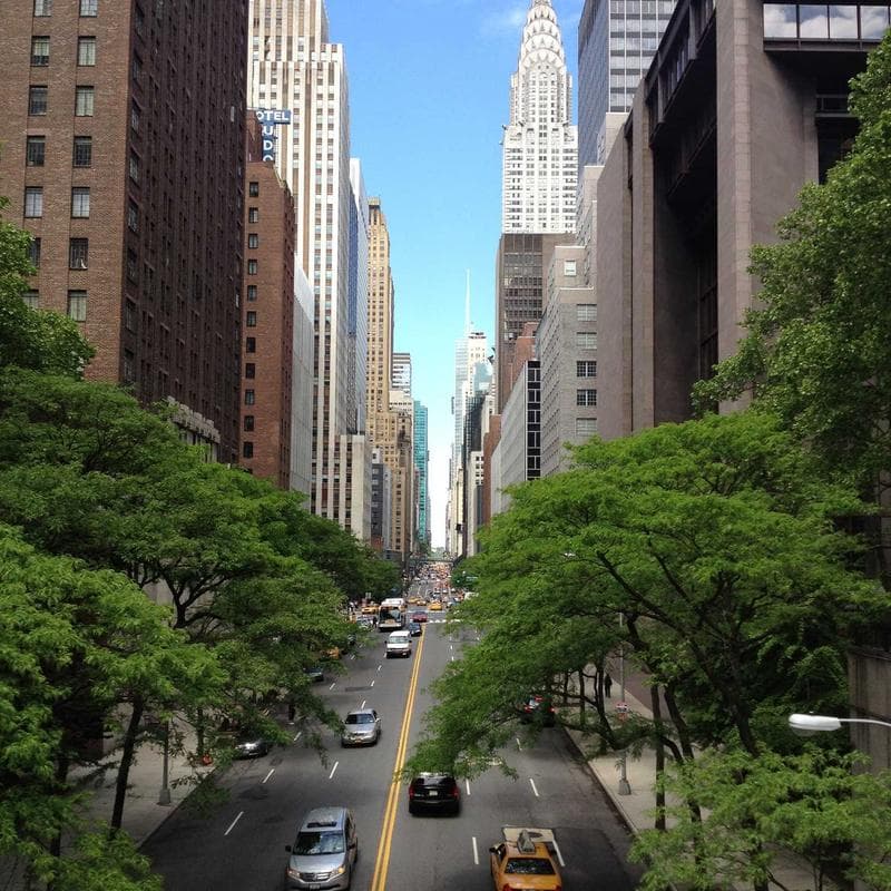 Produk UMKM Lokal Berkualitas #308