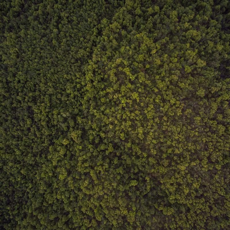 Produk UMKM Lokal Berkualitas #5