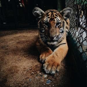 Tas Anyaman Rotan Khas Bali