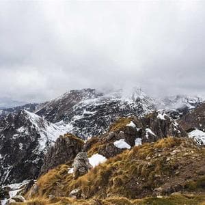 Teh Hijau Pilihan Gunung Mas